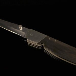 Paul Holloway -S- Norfolk, VA