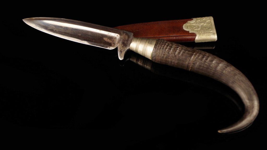 Goat horn